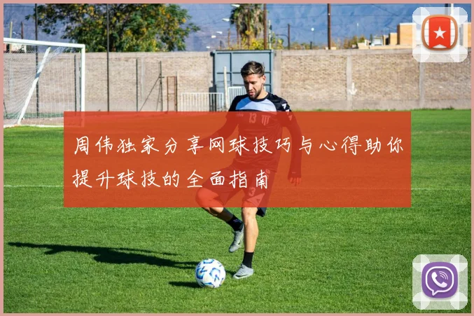 周伟独家分享网球技巧与心得助你提升球技的全面指南