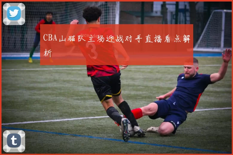 CBA山猫队主场迎战对手直播看点解析