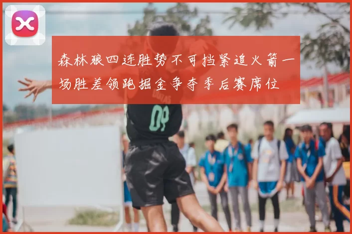 森林狼四连胜势不可挡紧追火箭一场胜差领跑掘金争夺季后赛席位