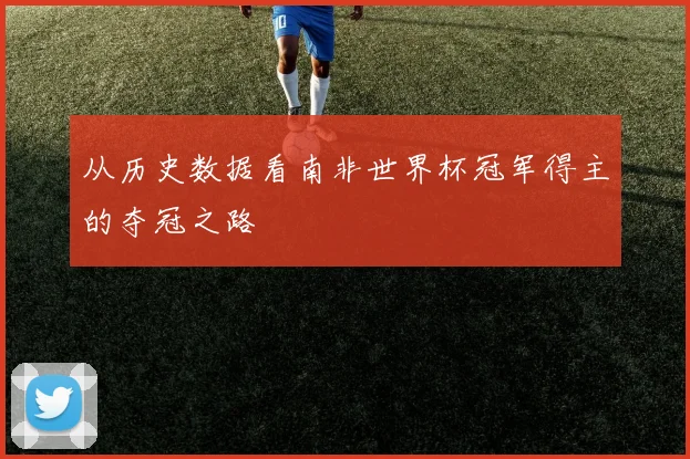 从历史数据看南非世界杯冠军得主的夺冠之路