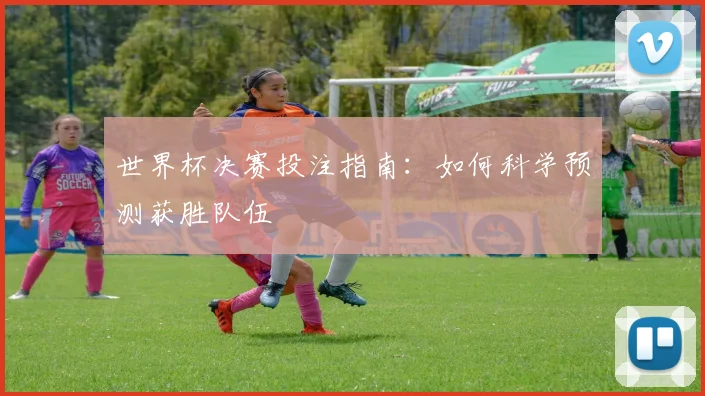 世界杯决赛投注指南:如何科学预测获胜队伍