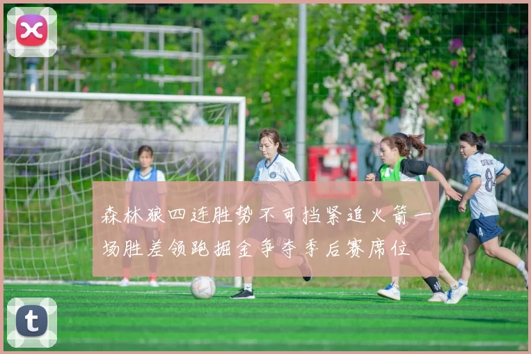 森林狼四连胜势不可挡紧追火箭一场胜差领跑掘金争夺季后赛席位