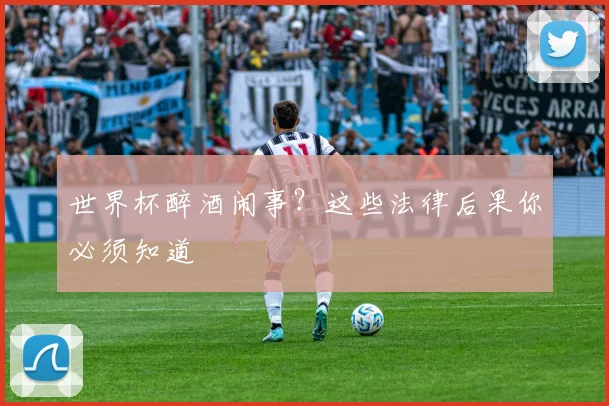 世界杯醉酒闹事?这些法律后果你必须知道