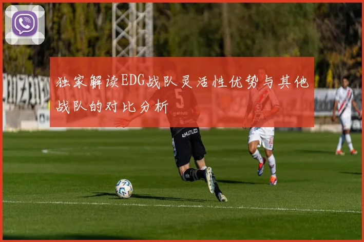 独家解读EDG战队灵活性优势与其他战队的对比分析