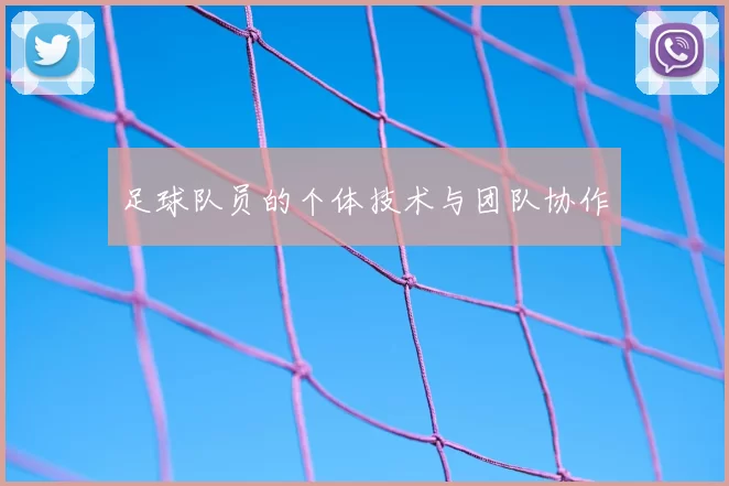 足球队员的个体技术与团队协作